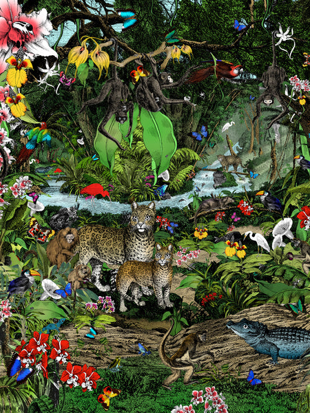 The Amazon Rainforest Wall Mural | Kristjana S Williams Studio