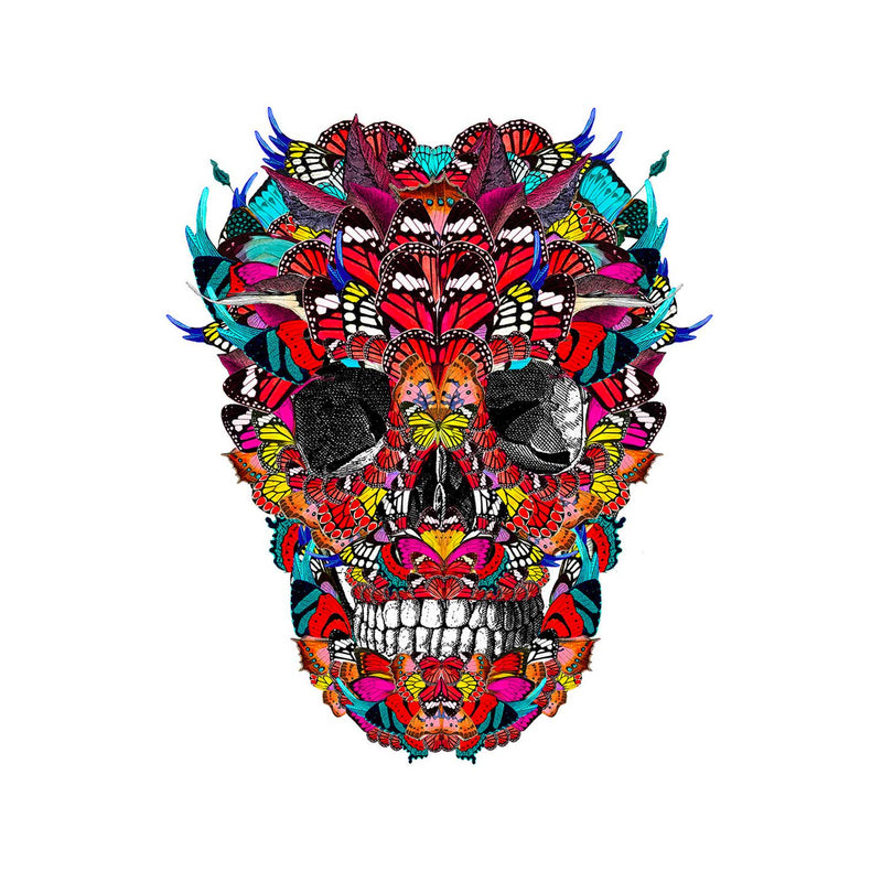 Skull Digital Art Alexander Mcqueen Colorful Flower 